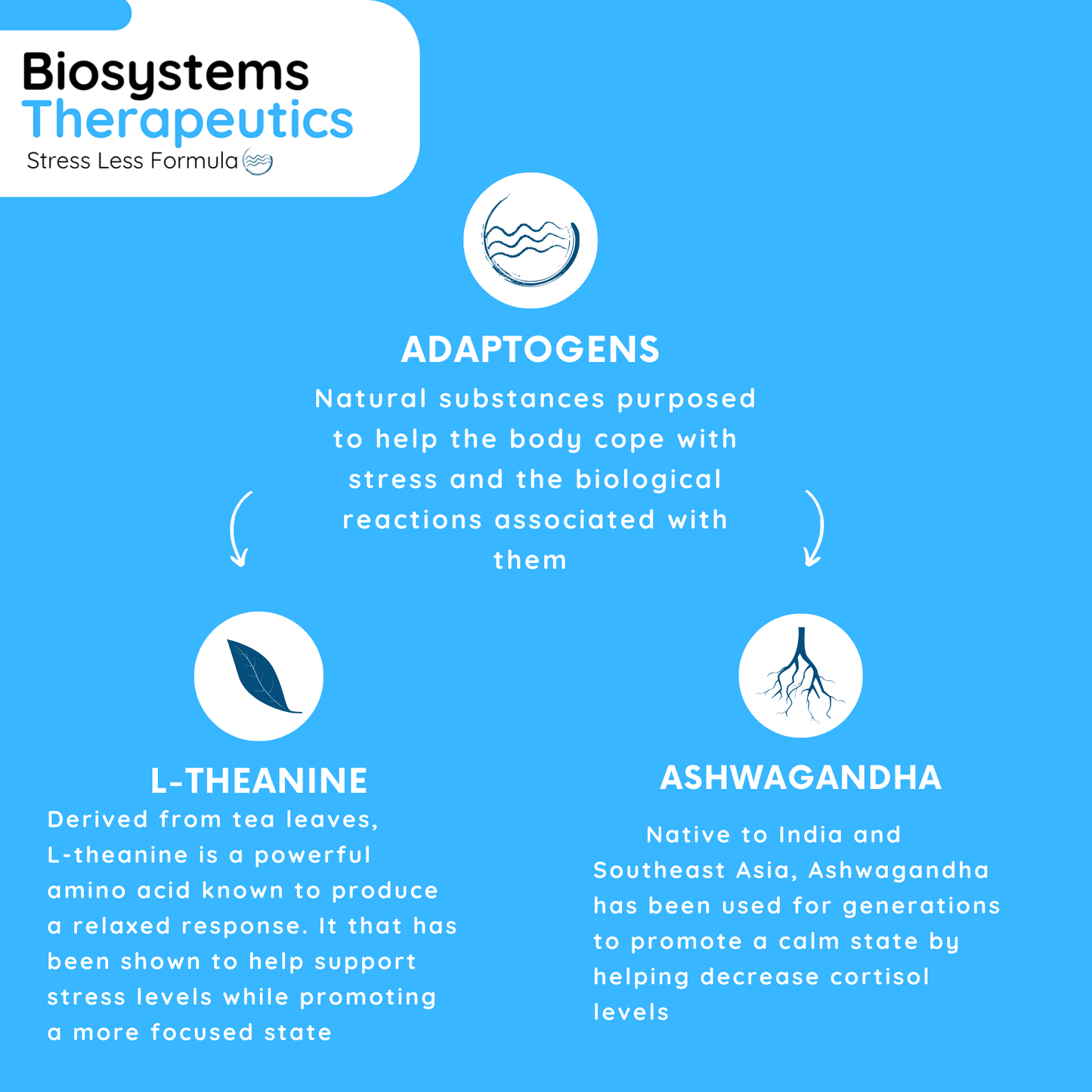 Biosystems Therapeutics Stress Less Formula - Ashwagandha + L-Theanine Supplement Blend for Relaxation and Stress Relief